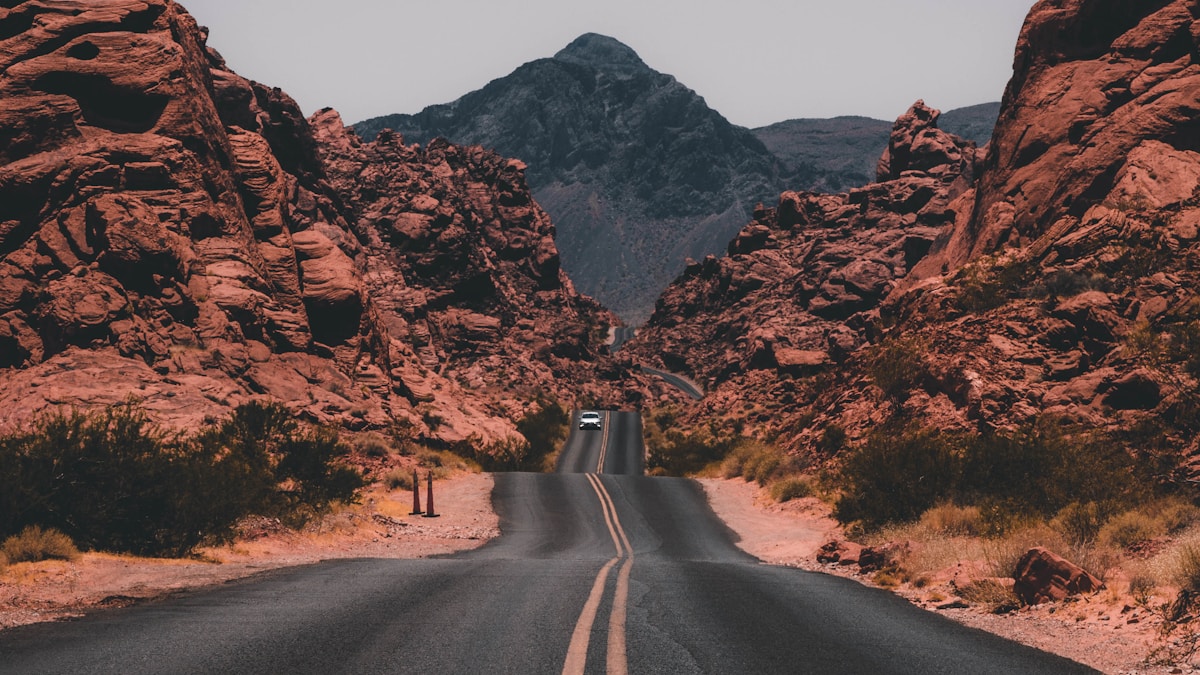 AI and the Future of SEO: B2B Perspective (2026)