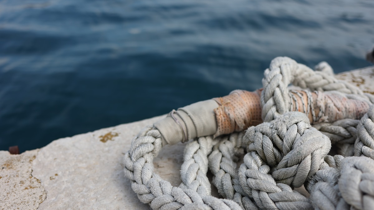 Link Building for B2B SaaS: 4 Tactics That Work (2026)